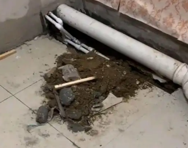 鹤岗市卫生间漏水检测哪家好